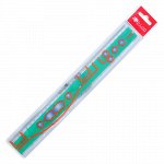 Линейка пластик Back to School Rainbow , 30 см.