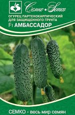 Огурец партенокарпический Амбассадор F1 (Евролог) NEW