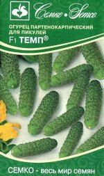Огурец партенокарпический Темп F1 ® (ЕВРОЛОГ) хит