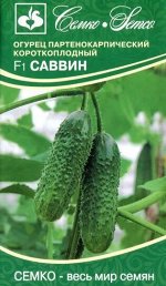 Огурец партенокарпический Саввин F1  (ЕВРОЛОГ) хит