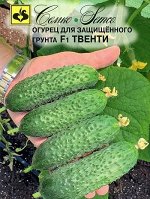 Огурец партенокарпический Твенти F1
