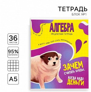 Тетрадь предметная А5, 36 л на скрепке «1 сентября: Мемы. Алгебра»