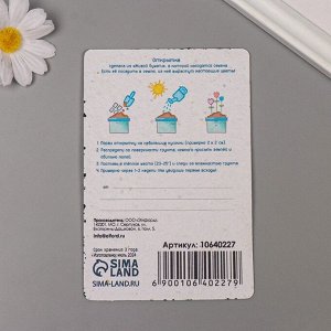 Открытка для выращивания «Арт Узор. Вырасти сам. Любимому педагогу» с семенами, 10?15 см