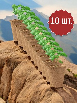 Торфяные горшки для рассады 10 шт. (торфогоршки), 110*100 круглые, Огородник