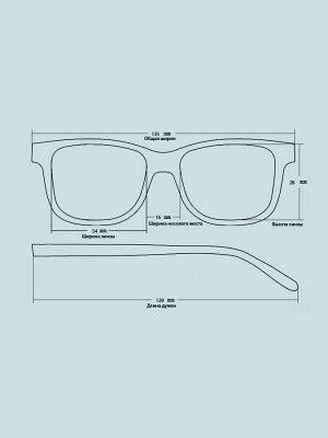 Оправа EYEWEAR 2975-1 Черный-Серый
