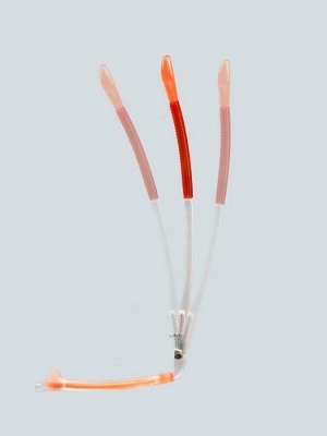 Оправа CIRRUS OP 9019 C15