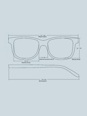 Оправа EYEWEAR 2975 C6