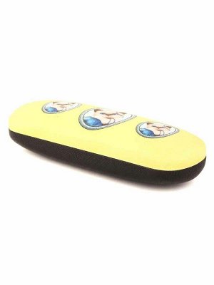 Футляры для очков TAO T-2051G C1