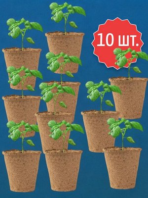 Торфяные горшки для рассады 10 шт. (торфогоршки), 80*80 круглые, Огородник