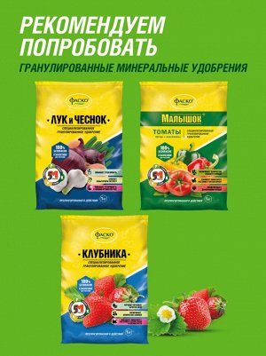 Удобрение минеральное КАРТОФЕЛЬ, сухое, гранулированное 1 кг, Фаско 5М