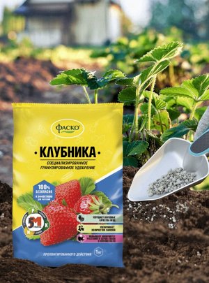 Удобрение КЛУБНИКА И МАЛИНА минеральное, гранулированное, сухое Фаско 5М 1 кг
