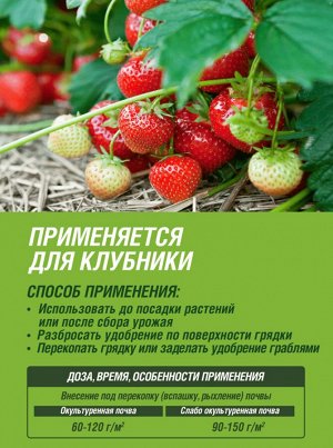 Удобрение КЛУБНИКА И МАЛИНА минеральное, гранулированное, сухое Фаско 5М 1 кг