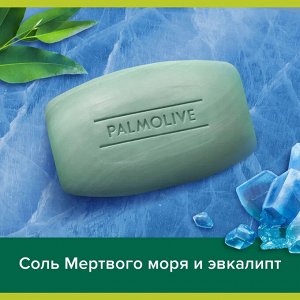 Мыло Палмолив Мэн Северный Океан освежающее 90г