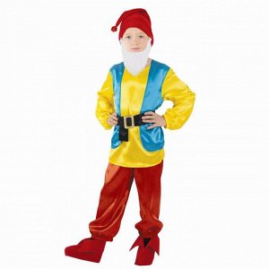 Детский карнавальный костюм "Гномик", р-р 56, рост 98-104 см