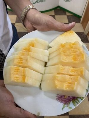 Дыня Фестиваль Оранж  (сортотип медовая роса)
