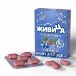 Смолка жевательная &quot;Живица Сибирская&quot; в глазури БЕЗ САХАРА( с ЧЕРНИКОЙ и пчелиным воском)