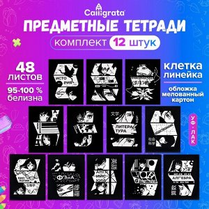 Набор предметных тетрадей 48 листов, «Комикс Аниме», 12 предметов