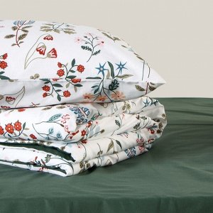 Постельное бельё "Этель" 1.5 сп Alpine meadow 143*215 см, 150*214 см, 50*70 см - 2 шт, поплин, хл 100%