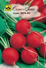 Редис Вера МС (Евролог)