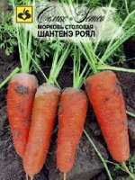 Морковь Шантенэ Роял