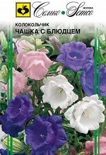 Колокольчик Чашка с Блюдцем