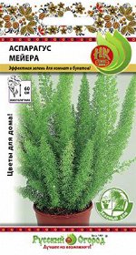 Цветы Аспарагус Мейера (зел.дом) (3шт)