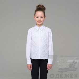 202 Блузка для девочки с длинным рукавом