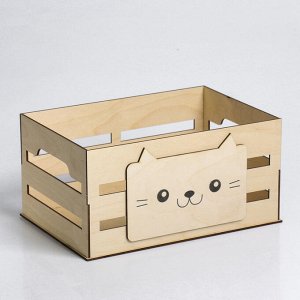 Ящик для хранения «Кот», 300 * 150 * 200 мм