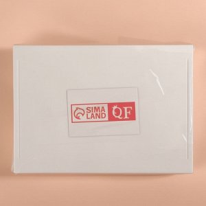 Органайзер для хранения «BASIC», 1 секция, 23 x 17 x 5 см, цвет белый/прозрачный