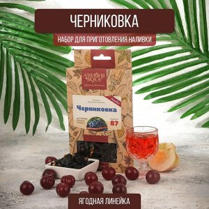 Набор Алхимия вкуса № 87 для приготовления наливки "Черниковка", 47 г