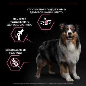 Сухой корм для собак PRO PLAN® SENSITIVE SKIN средних пород с чувствительной кожей, с высоким содержанием лосося, 3 кг