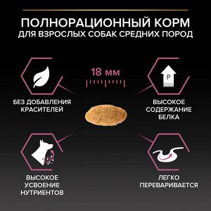 Сухой корм для собак PRO PLAN® SENSITIVE SKIN средних пород с чувствительной кожей, с высоким содержанием лосося, 3 кг