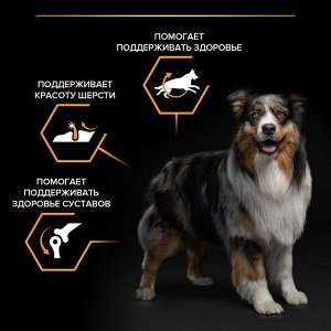 Сухой корм PRO PLAN® EVERYDAY NUTRITION для взрослых собак средних пород, с высоким содержанием курицы, 7 кг