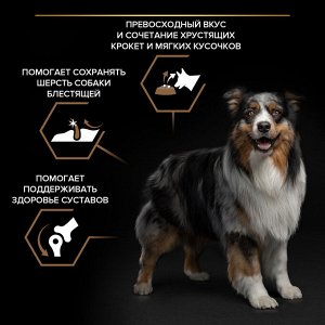Сухой корм PRO PLAN® DUO DELICE для взрослых собак средних и крупных пород, с высоким содержанием говядины, 10 кг