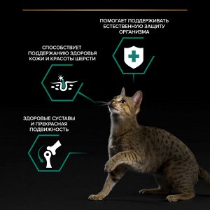 Влажный корм PRO PLAN® MAINTENANCE для взрослых кошек, с говядиной в соусе, 85 г