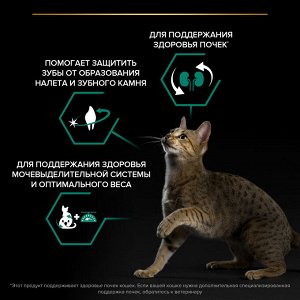 Сухой корм PRO PLAN® Sterilised Adult RENAL PLUS для взрослых стерилизованных кошек, с высоким содержанием индейки, 400 г