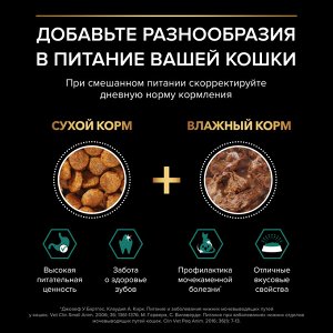 Влажный корм PRO PLAN® MAINTENANCE для взрослых кошек, с говядиной в соусе, 85 г