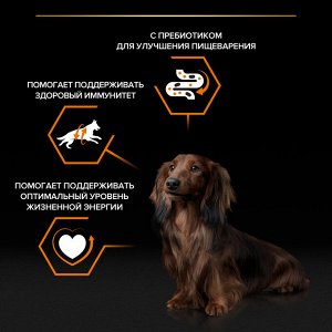 Влажный корм PRO PLAN® для взрослых собак мелких и карликовых пород, с говядиной в соусе, 85 г