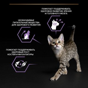Влажный корм PRO PLAN® HEALTHY START для котят, с индейкой в соусе, 85 г