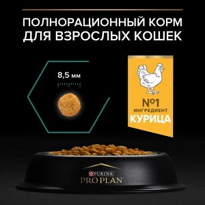 Сухой корм PRO PLAN® RENAL PLUS для взрослых кошек, с курицей, 1.5 кг + Влажный корм PRO PLAN® MAINTENANCE  для кошек, с ягненком и индейкой, 85 г