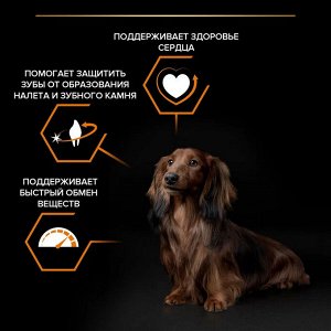 Корм для собак PRO PLAN® EVERYDAY NUTRITION мелких и карликовых пород, с высоким содержанием курицы, 3 кг