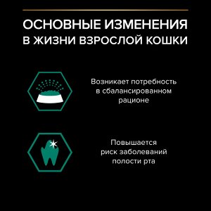 Влажный корм PRO PLAN® MAINTENANCE для взрослых кошек, с курицей в соусе, 85 г