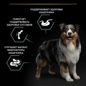 Сухой корм PRO PLAN® SENSITIVE DIGESTION для взрослых собак средних пород с чувствительным пищеварением, с высоким содержанием ягненка, 14 кг