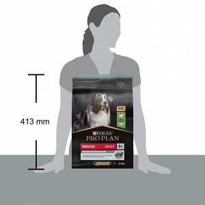 Сухой корм PRO PLAN® SENSITIVE DIGESTION для взрослых собак средних пород с чувствительным пищеварением, с высоким содержанием ягненка, 3 кг