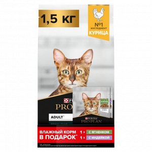 Сухой корм PRO PLAN® RENAL PLUS для взрослых кошек, с курицей, 1.5 кг + Влажный корм PRO PLAN® MAINTENANCE  для кошек, с ягненком и индейкой, 85 г