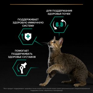 Сухой корм PRO PLAN® RENAL PLUS для взрослых кошек, с курицей, 1.5 кг + Влажный корм PRO PLAN® MAINTENANCE  для кошек, с ягненком и индейкой, 85 г