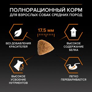 Сухой корм для собак PRO PLAN® EVERYDAY NUTRITION средних пород, с высоким содержанием курицы, 3 кг