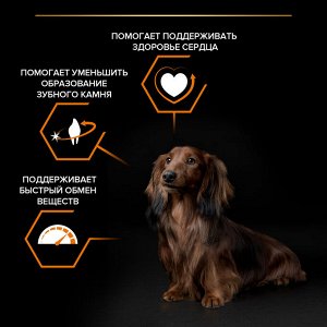 Сухой корм PRO PLAN® EVERYDAY NUTRITION для взрослых собак мелких и карликовых пород, с высоким содержанием курицы, 700 г