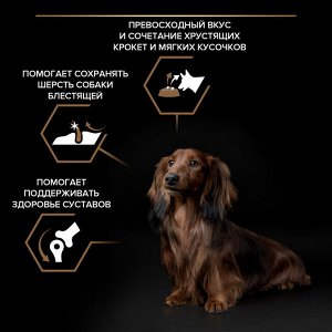 Сухой корм PRO PLAN® DUO DELICE для взрослых собак мелких и карликовых пород с двойной текстурой гранул, с высоким содержанием говядины, 700 г
