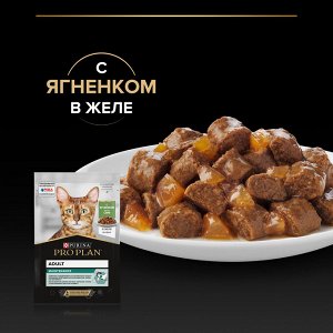 Влажный корм PRO PLAN® MAINTENANCE для взрослых кошек, с ягненком в желе, 85 г
